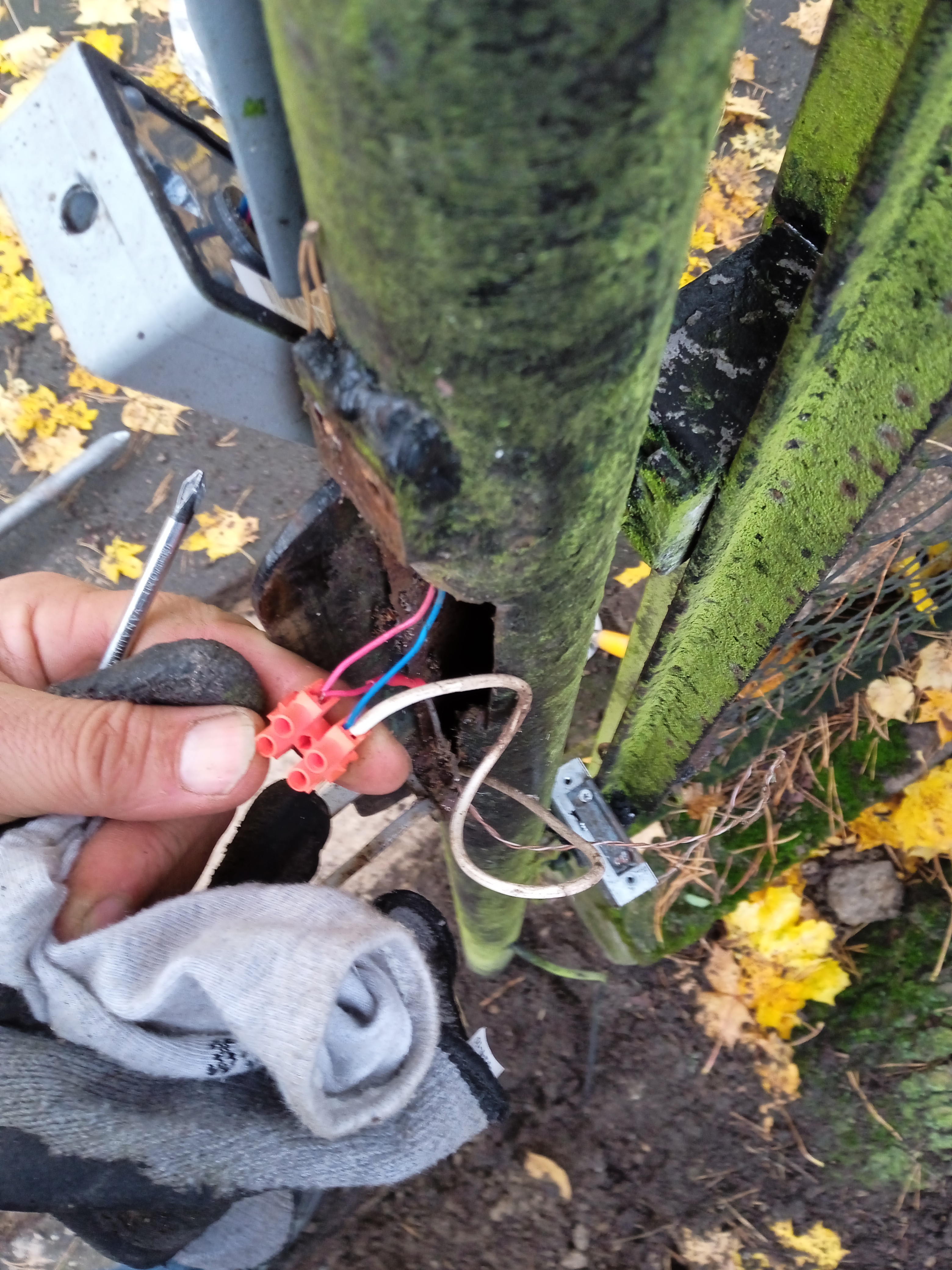 Montaż ogrodzenia - zdjęcie 1